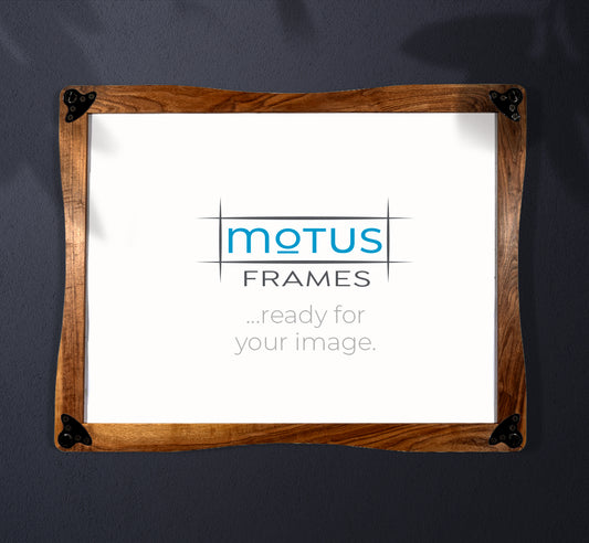 Motus Frame/Structure 1 - FRAME ONLY